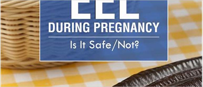 Eel while pregnant